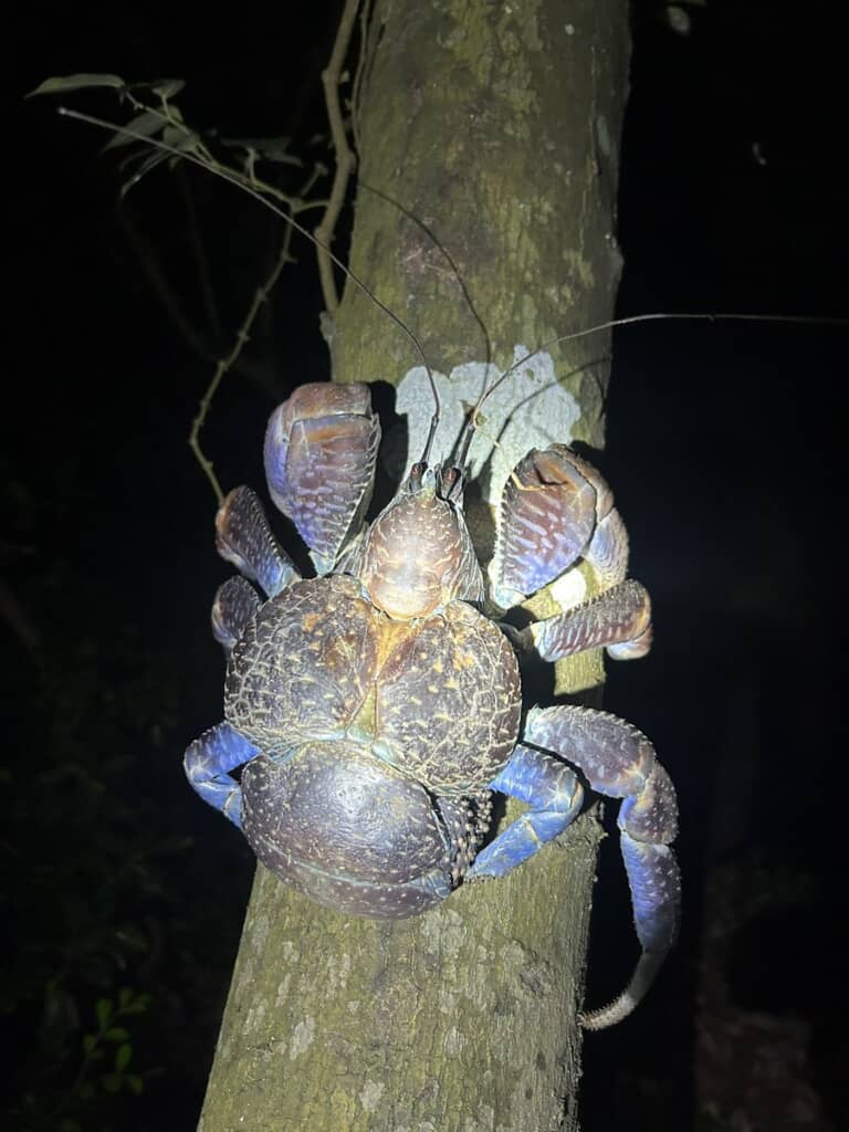 AIでもここまでデカくしませんっ