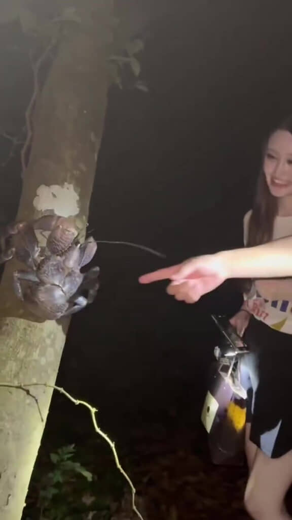 大きなヤシガニとの運命的な出会い（？）