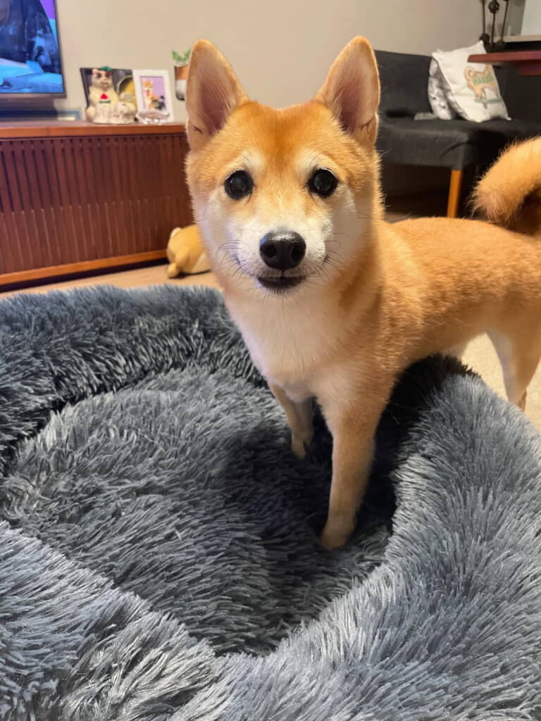 優しいお顔にキュン