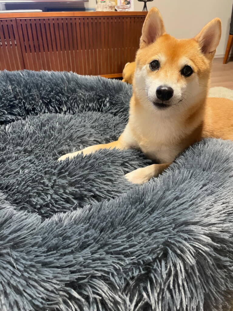 どの瞬間も愛おしい