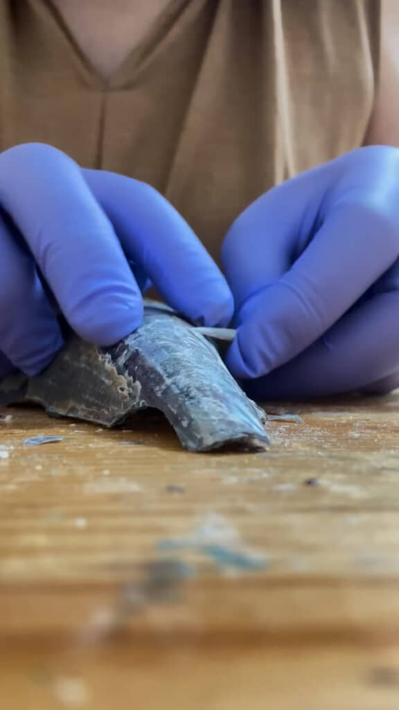 貝殻をパリパリと剥いでいく