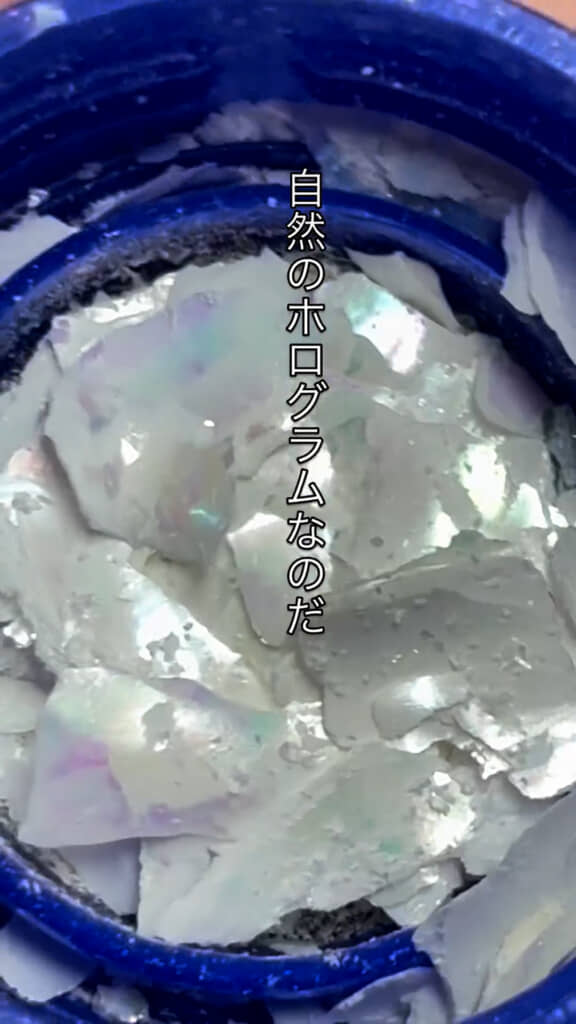 こんなにも美しい