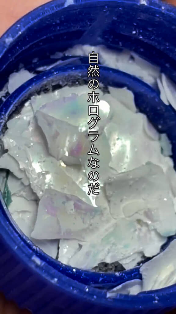 光の加減や角度で見え方に変化がある