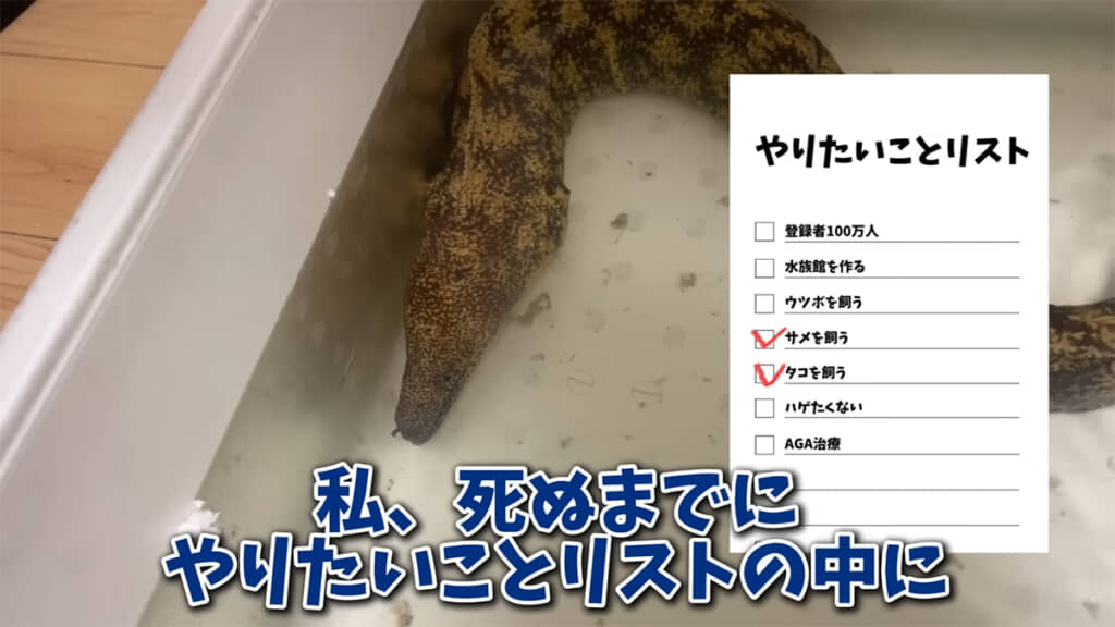 やりたいことリストの1つをクリアしたのだとか