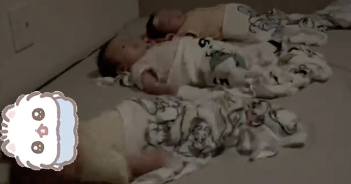 三つ子赤ちゃんを整列で寝かせたはずが……「すごい笑」　ママが思わずツッコんだ“まさかの光景”が190万再生「運動神経良さそう」（1/3） | 育児 ねとらぼ