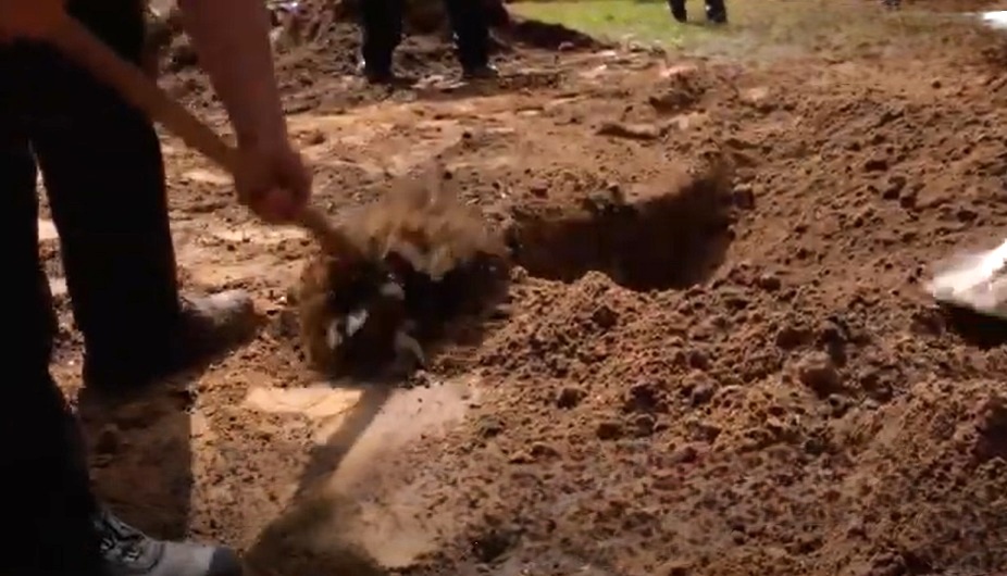 誇りを持って墓を掘る