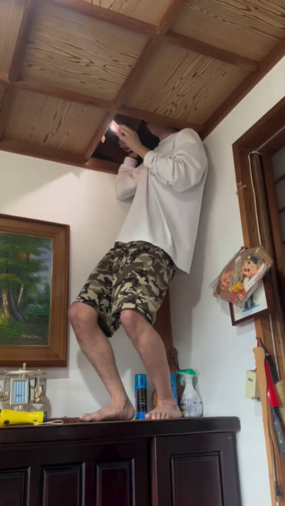玄関の屋根裏にいたのは……