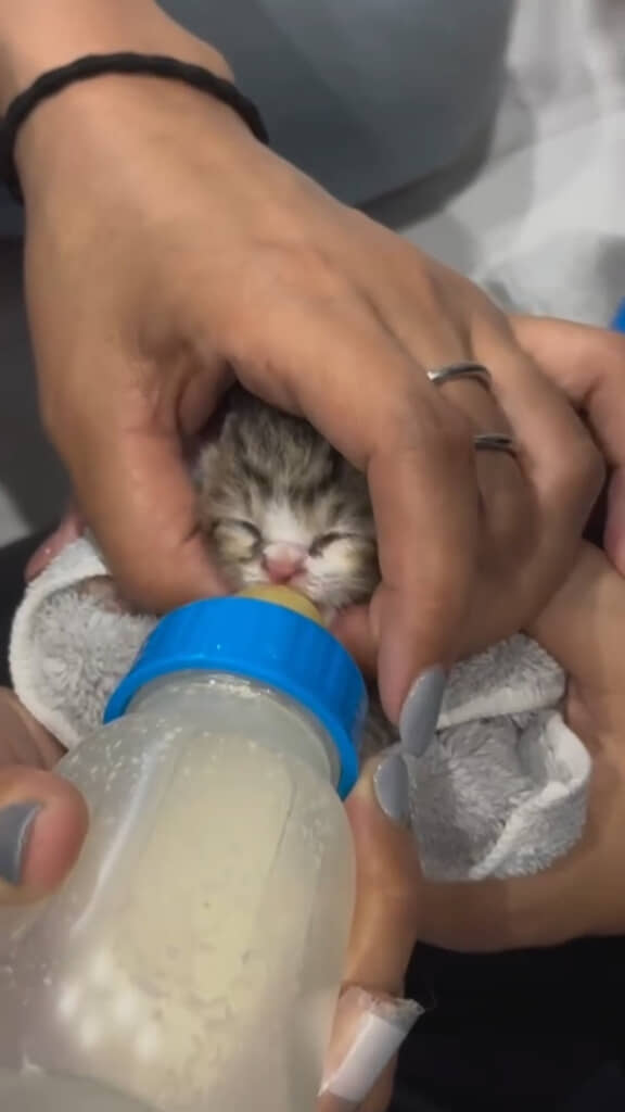 全力でお世話する日々が始まりました