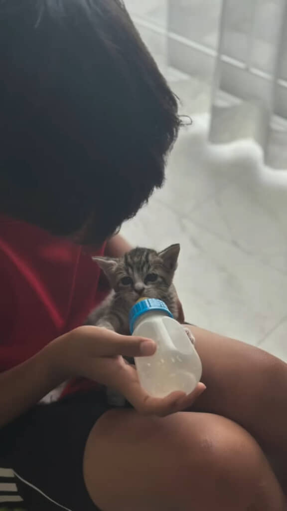 保護主さん家族の献身的なお世話でぐんぐん成長！