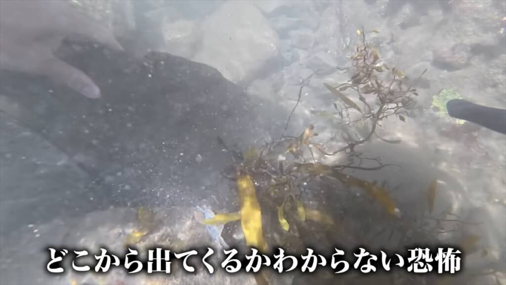 海のプールで巨大モンスター捕獲＆喰らい尽くす