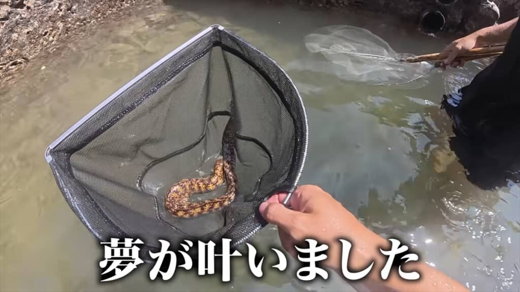 海のプールで巨大モンスター捕獲＆喰らい尽くす