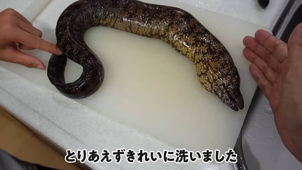 海のプールで巨大モンスター捕獲＆喰らい尽くす