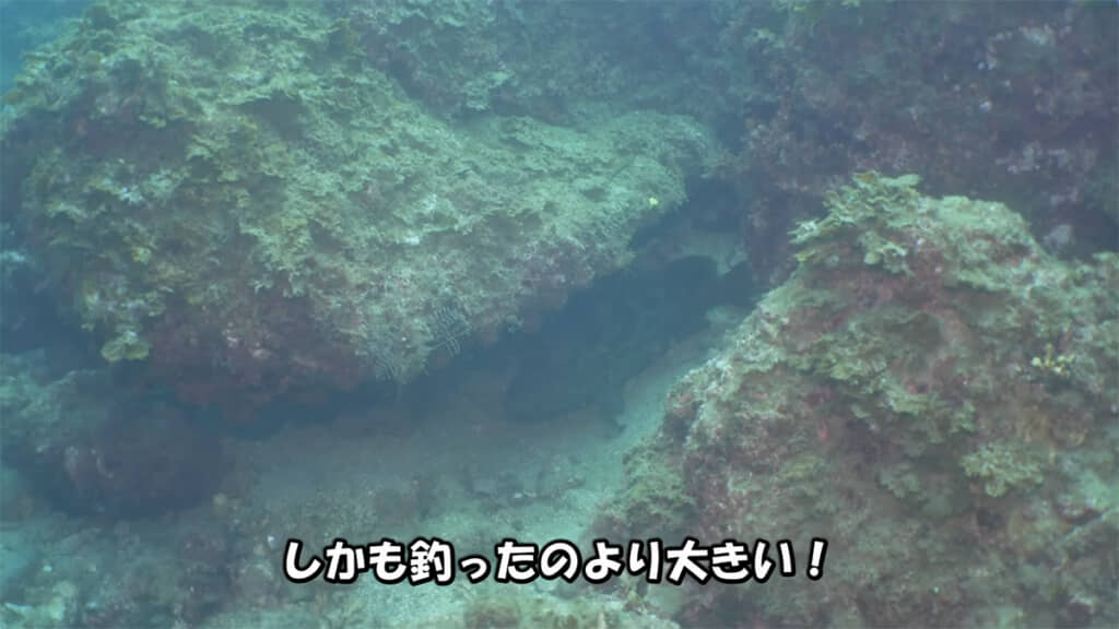 ついに念願のクエを発見！