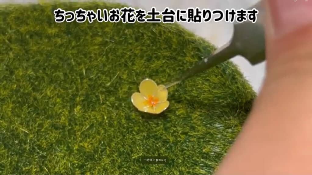 お花もツヤツヤ！