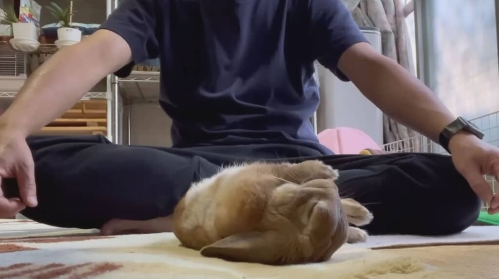 最後もゴロンッ