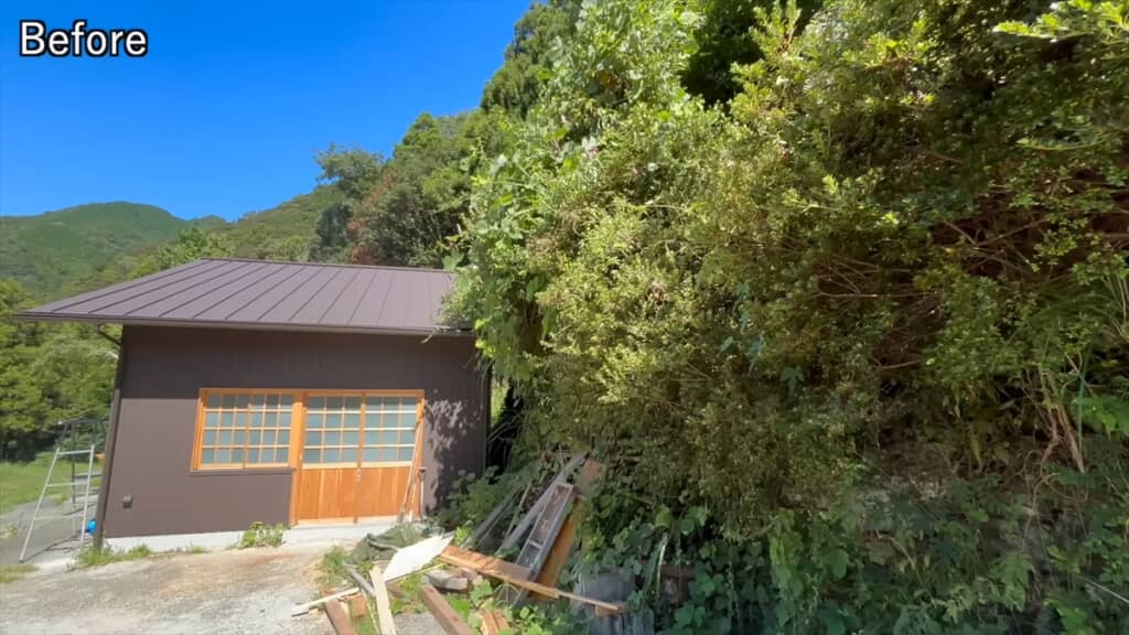 20年放置された自宅前の庭木を伐採