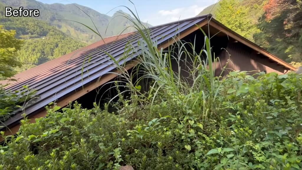 20年放置された自宅前の庭木を伐採