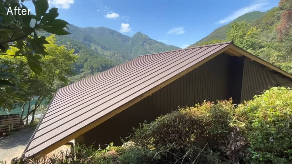 20年放置された自宅前の庭木を伐採