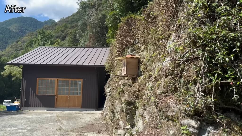 20年放置された自宅前の庭木を伐採