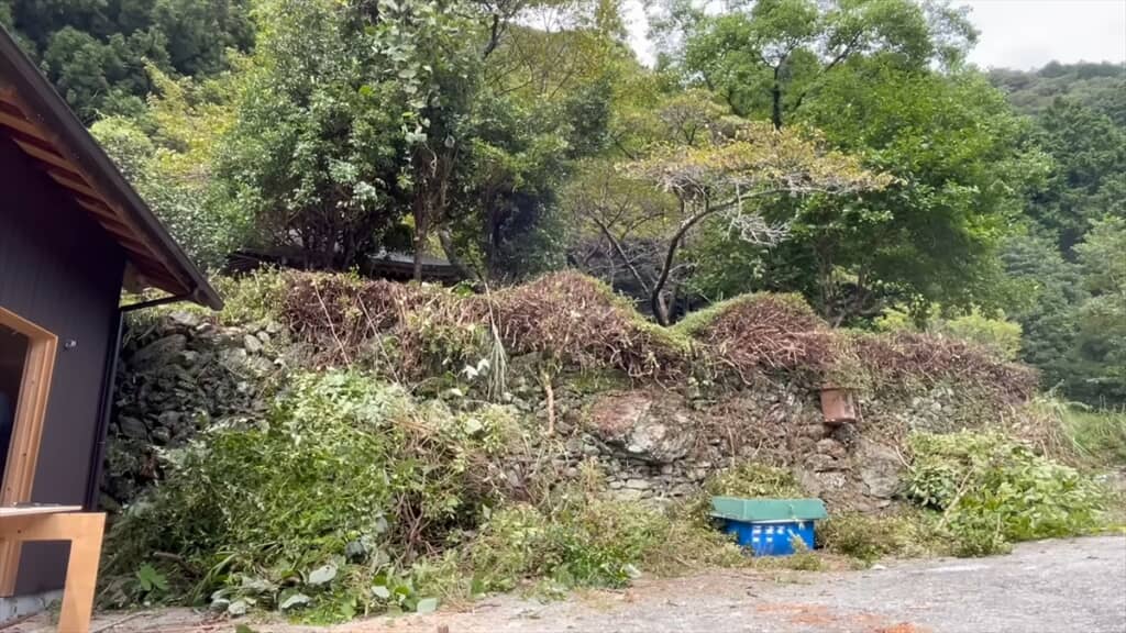 20年放置された自宅前の庭木を伐採