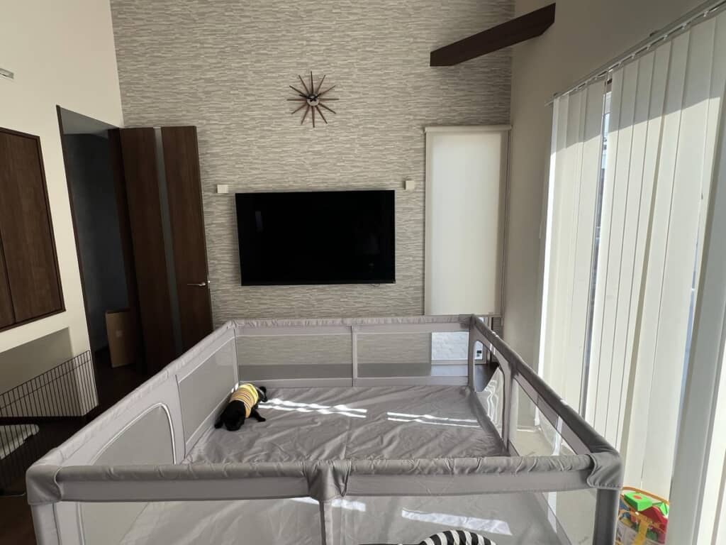 リビングを占領！