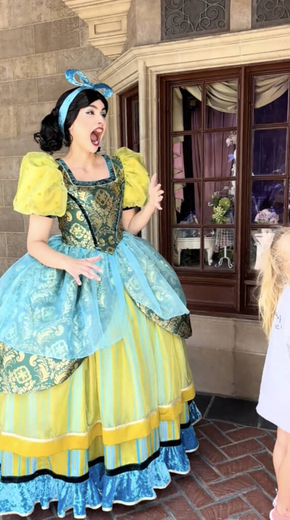 プロポーズを見て固まるドリゼラ