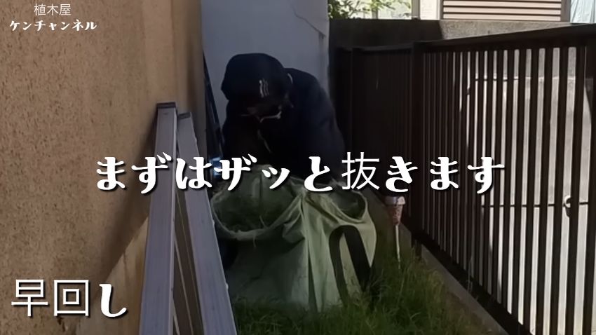 草が密集しているエリアで行う大まかな草むしり