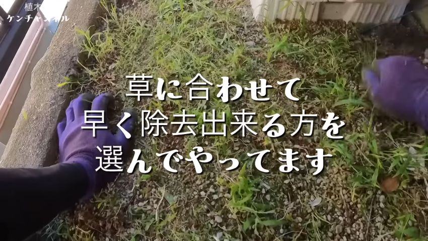 草に合わせた方法で除去していく投稿者