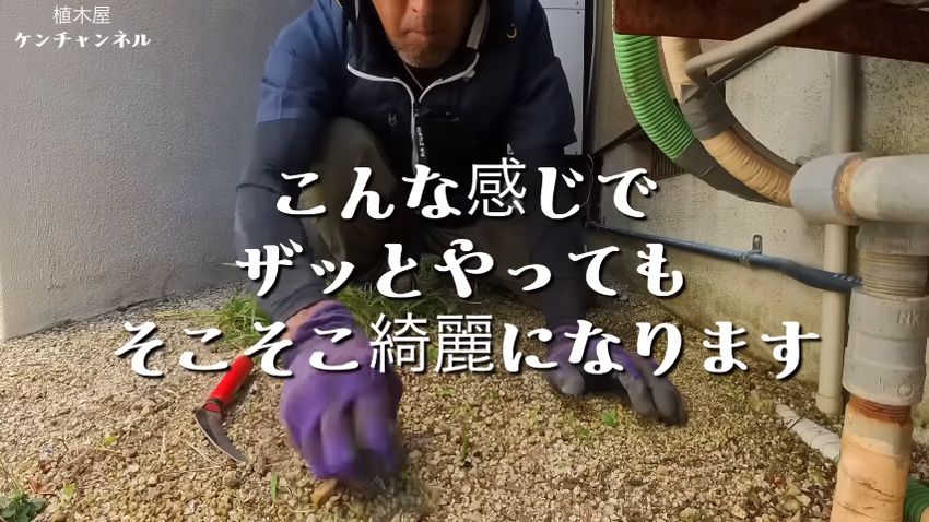 抜きやすい草ばかりのためすぐキレイになった庭