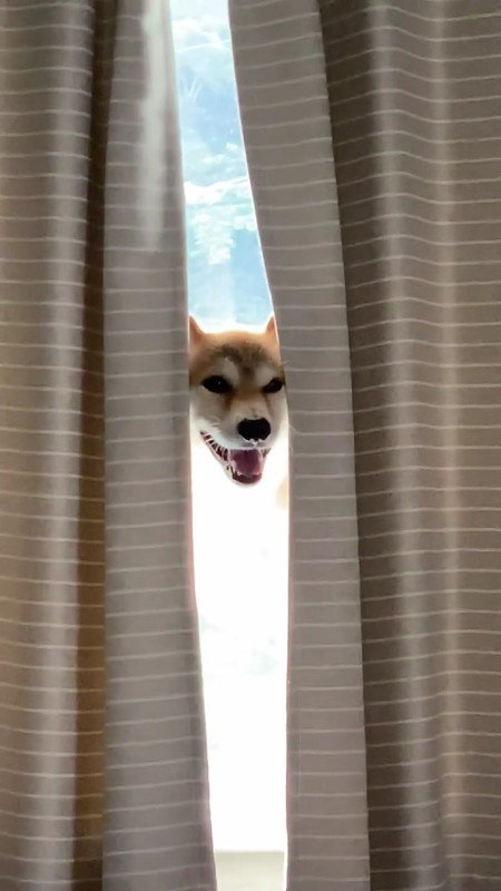 びっくりしちゃう