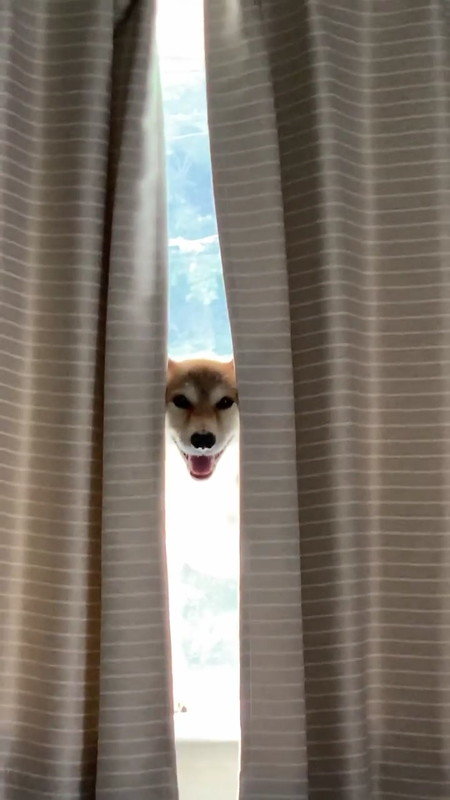 カメラ目線ばっちり！