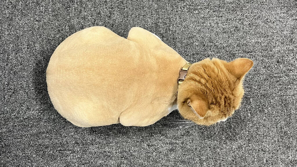 ロティサリーチキンかな？