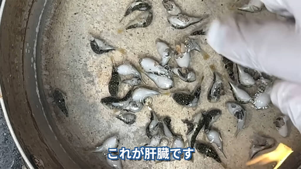 グの肝臓には毒がありますが……？