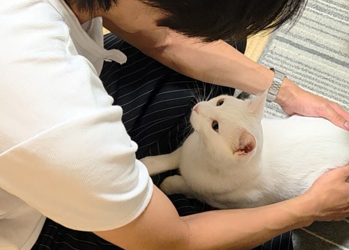 猫は大好きだったお兄ちゃんを覚えているのか？　3カ月ぶりの再会に「おおっ」「実に眼福」（1/3） | 猫 ねとらぼ