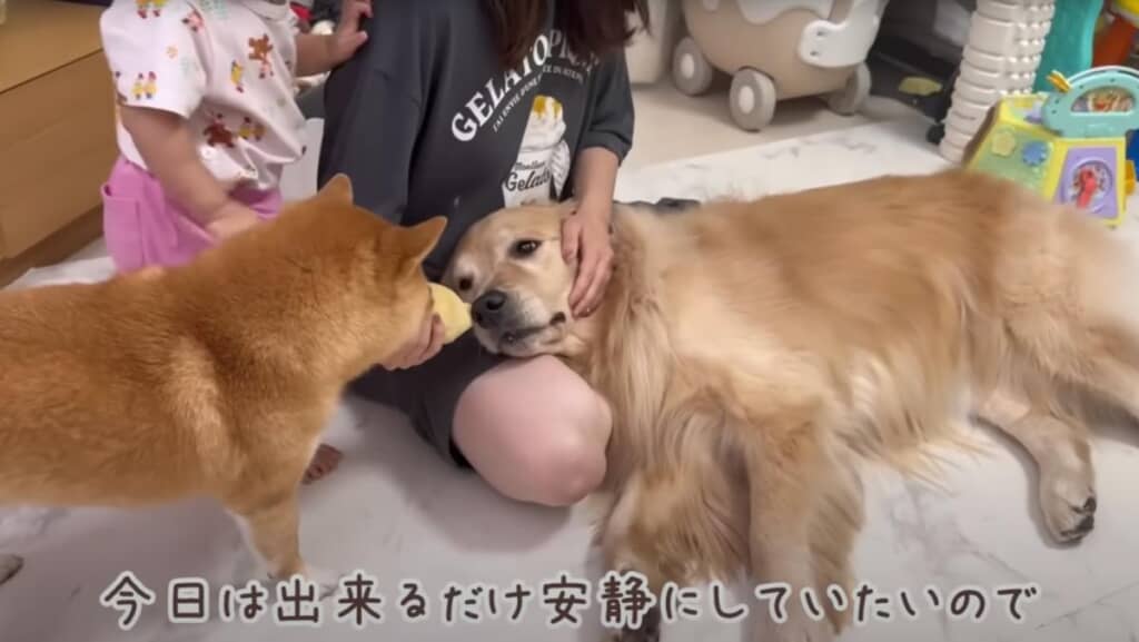 家事が終わったら休む予定です