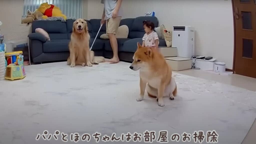 家事をみんな分担