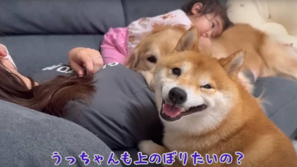 もっとママさんの近くに行きたいうにくん