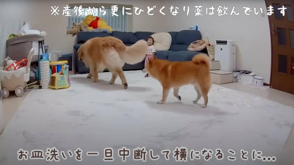 すぐに集まってきたさんにん