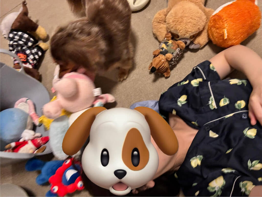 たくさんのぬいぐるみでお見舞い！