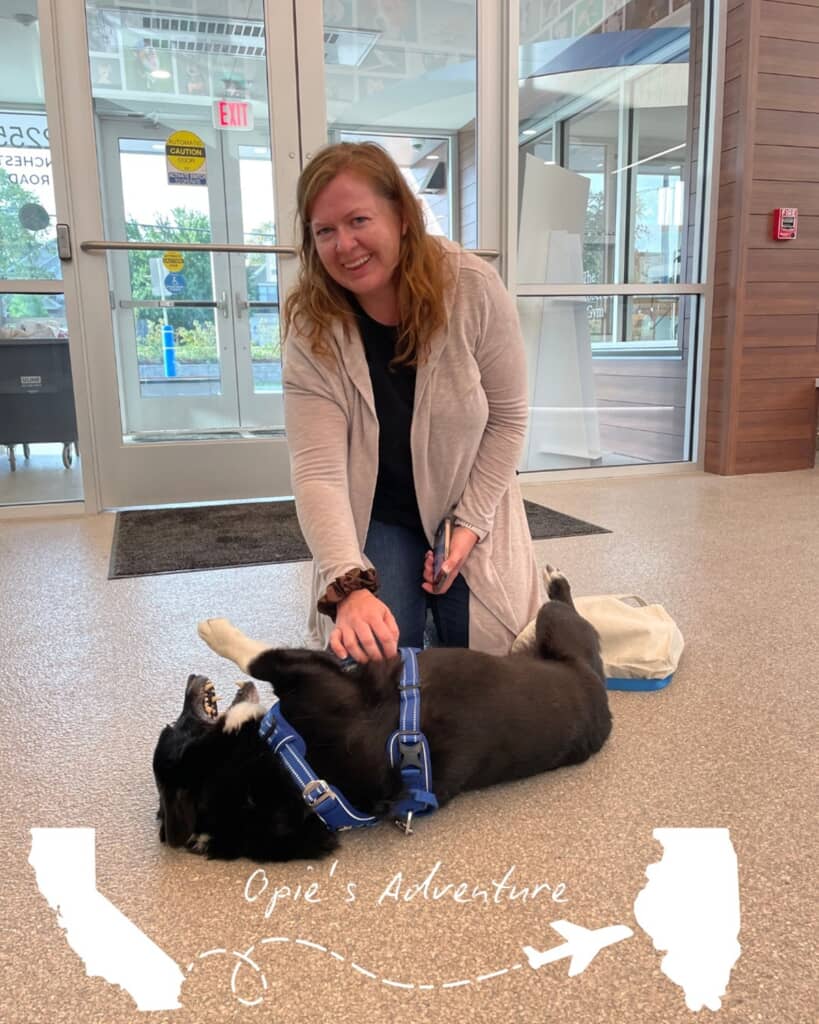 飼い主と約3ヶ月ぶりに再会