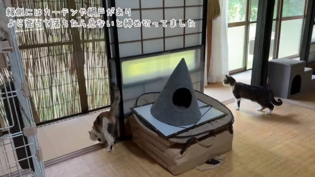 縁側に続く障子が開放されて様子をうかがうりんちゃんとすずちゃん