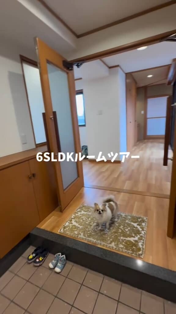 ゆとりのある空間でワンちゃんがお出迎え