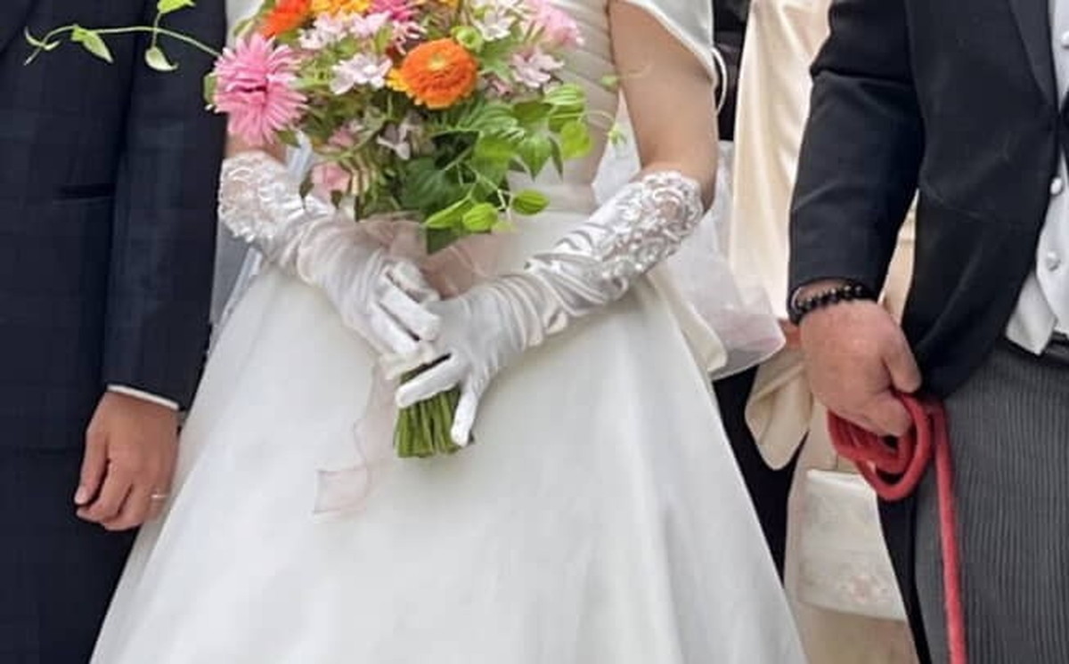 一緒に育った“実家の犬”を結婚式に呼んだら……　参列姿に「胸が熱くなります」「正しく家族」と感涙の声（1/3） | 犬 ねとらぼ