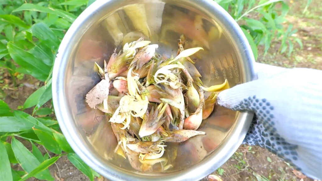 すごい量……！！