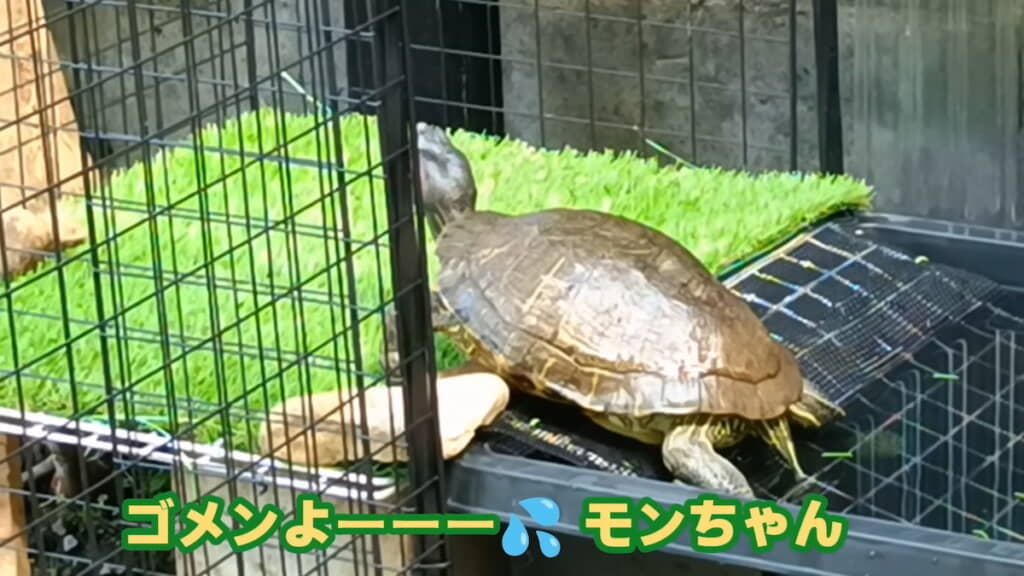 前のスロープは傾斜が急で上がりにくそうだった