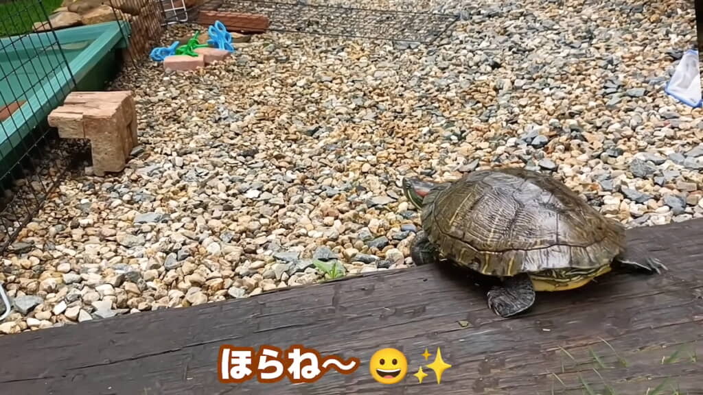 段差も越えられるようになった