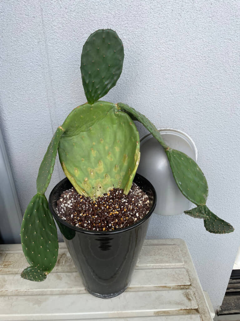 今にも動き出しそう……！