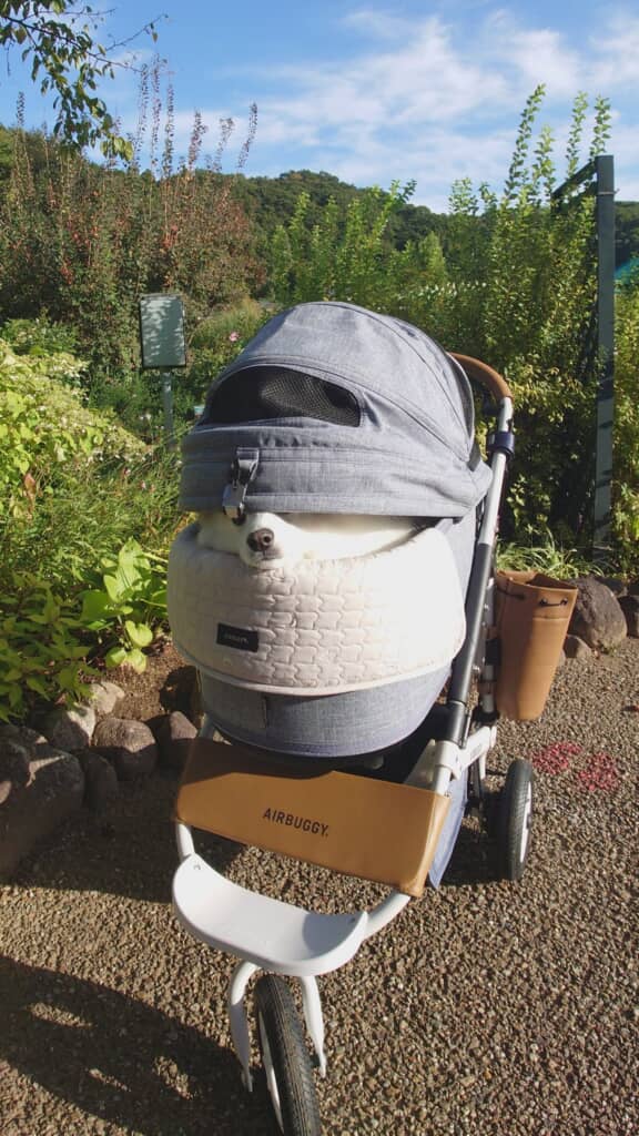 かわいいお顔がちょっと見えています！