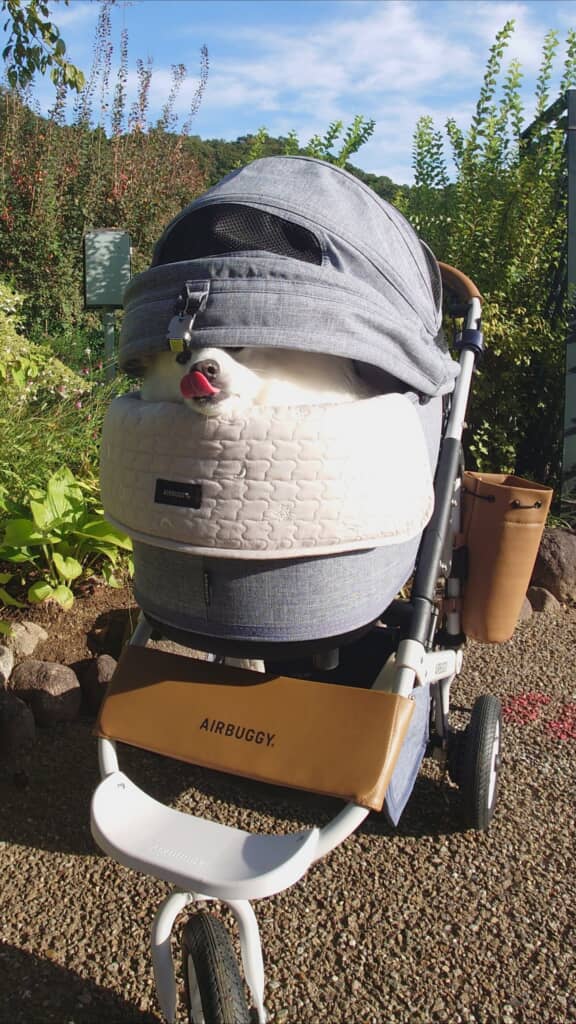 ペロンとしたところもたまらない