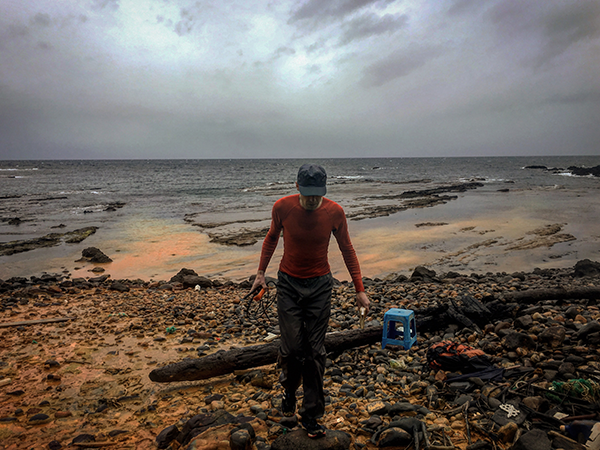 日本の温泉に「生命誕生の秘密」が眠っている!?　太古の生命は酸素に頼らずどう生きたのか　東京科学大学が研究を発表 | IT・科学 ねとらぼ